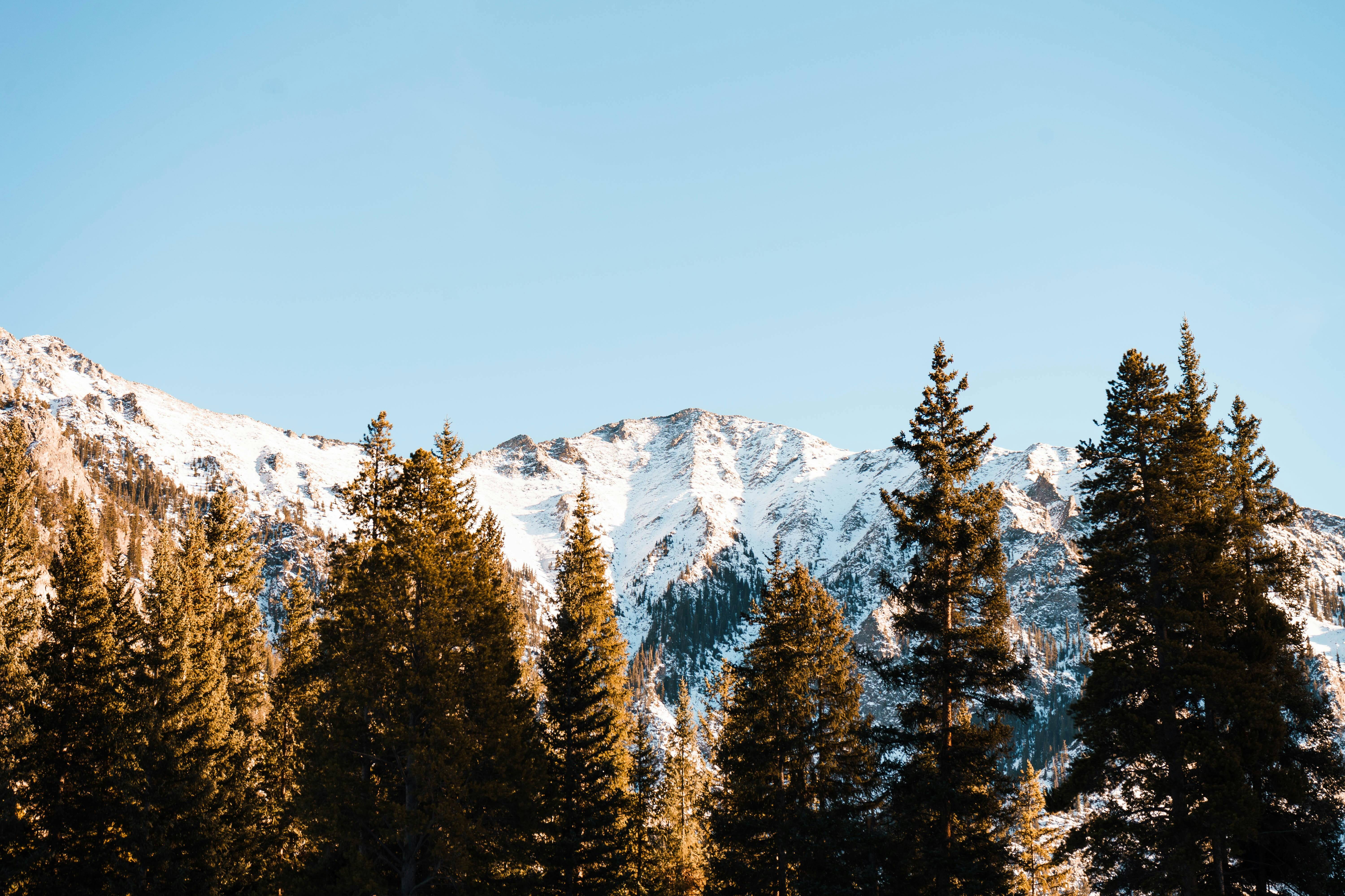 Winter activities for the whole family in Colorado
