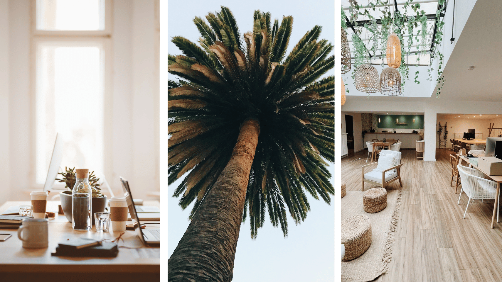 Unveiling the top cities for remote working in the South of France
