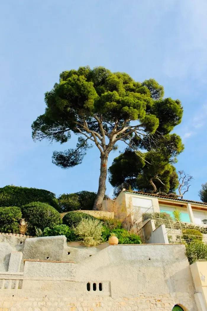 Provence, live the sun-kissed French dream