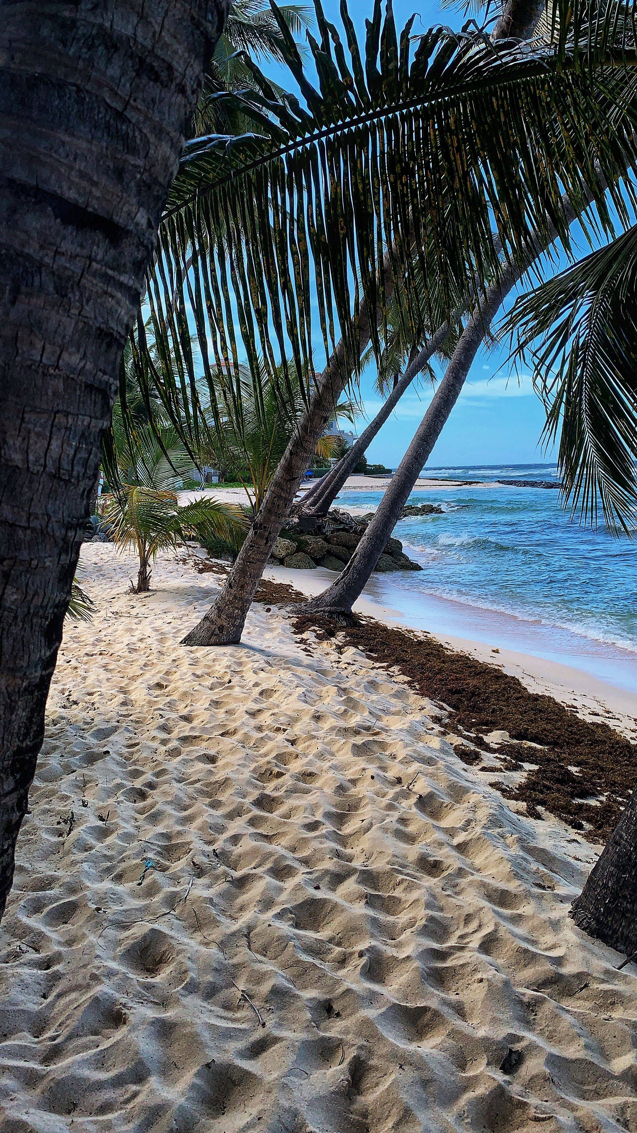 Barbados - The joyful island