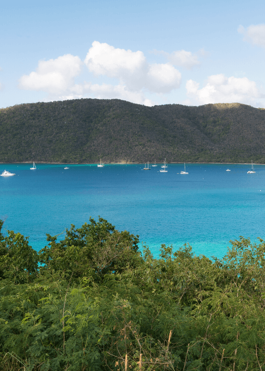 Maho Bay Quarter, St John’s best beach