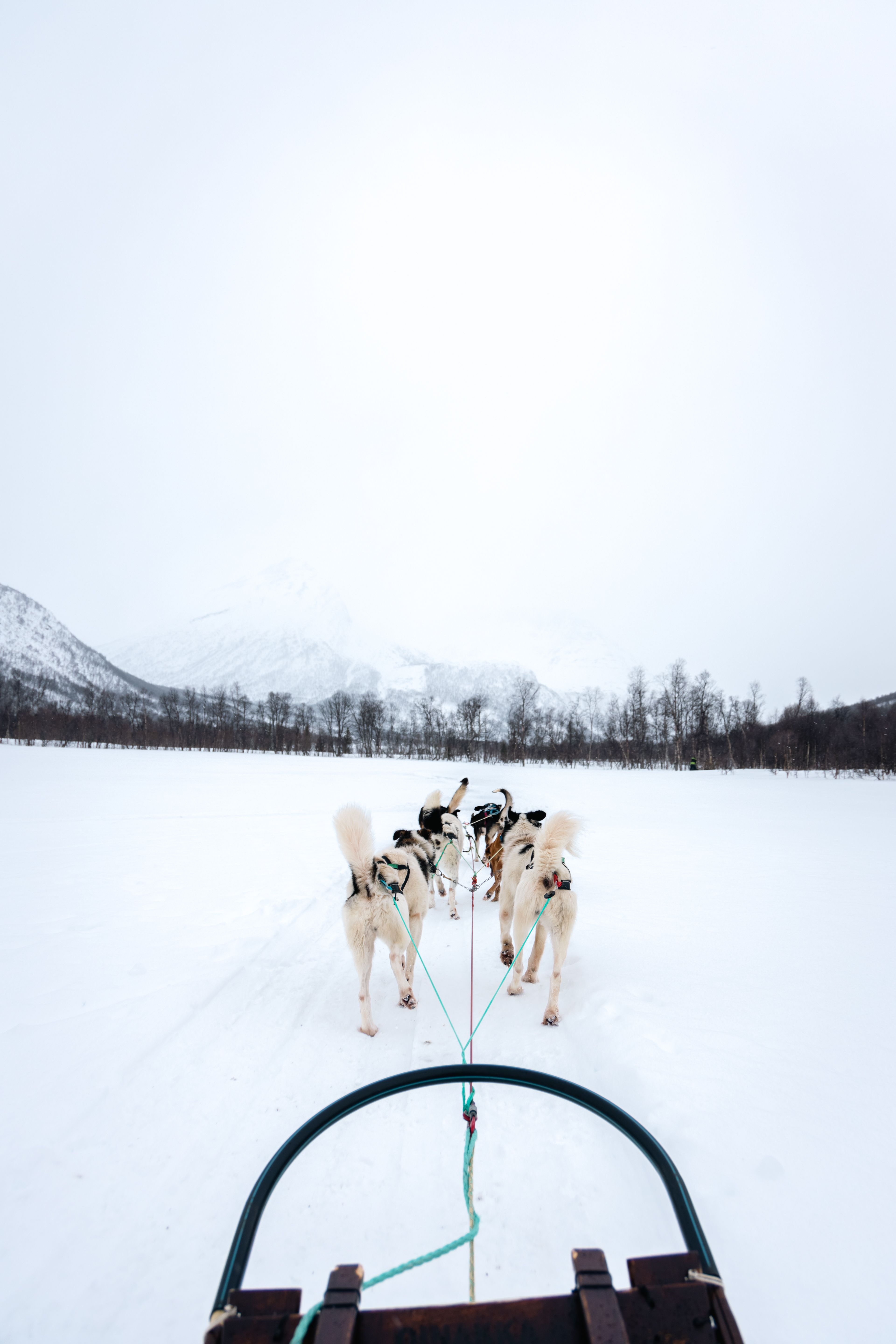 10 unmissable winter experiences