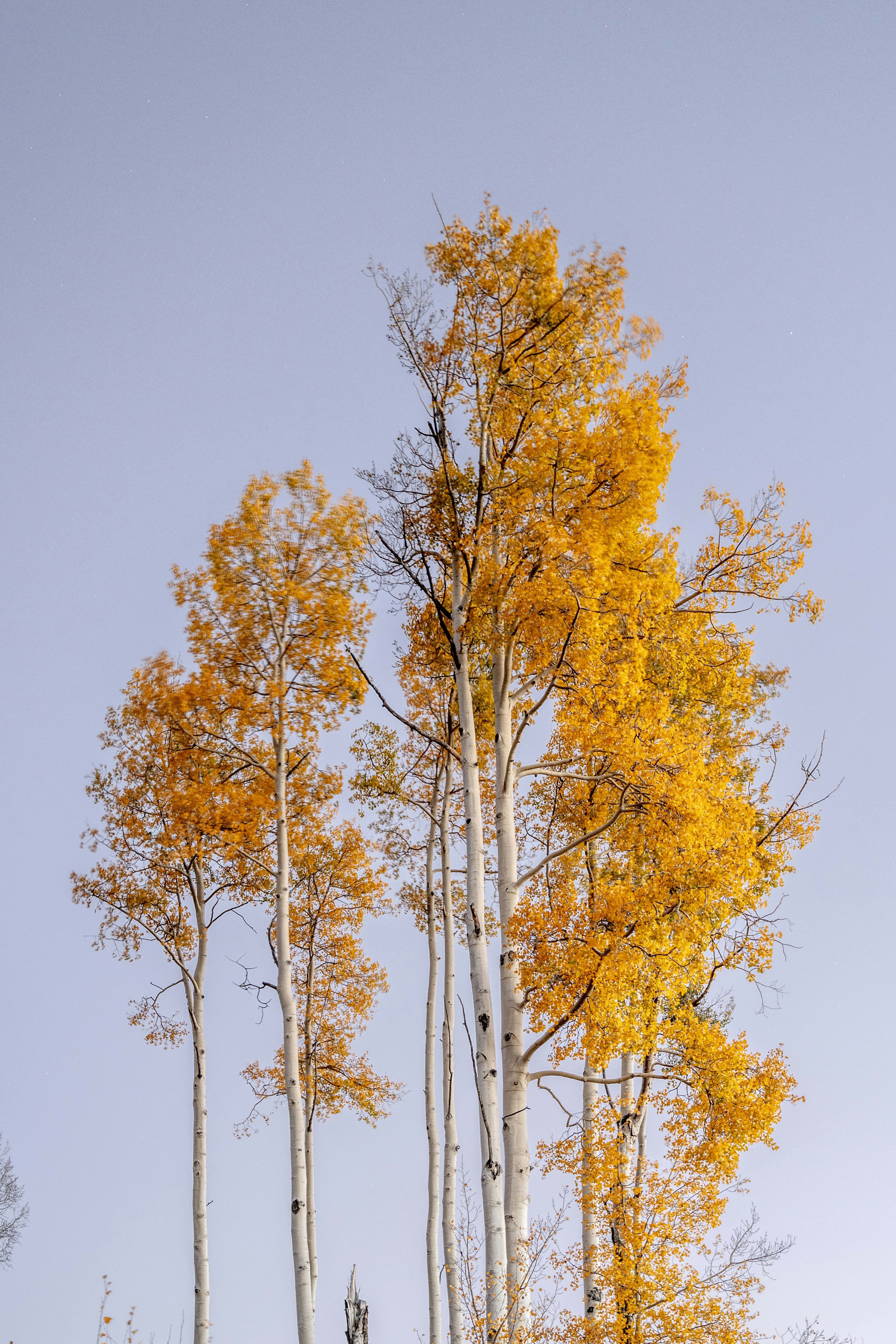 A haven for outdoor pursuits: our Aspen travel guide