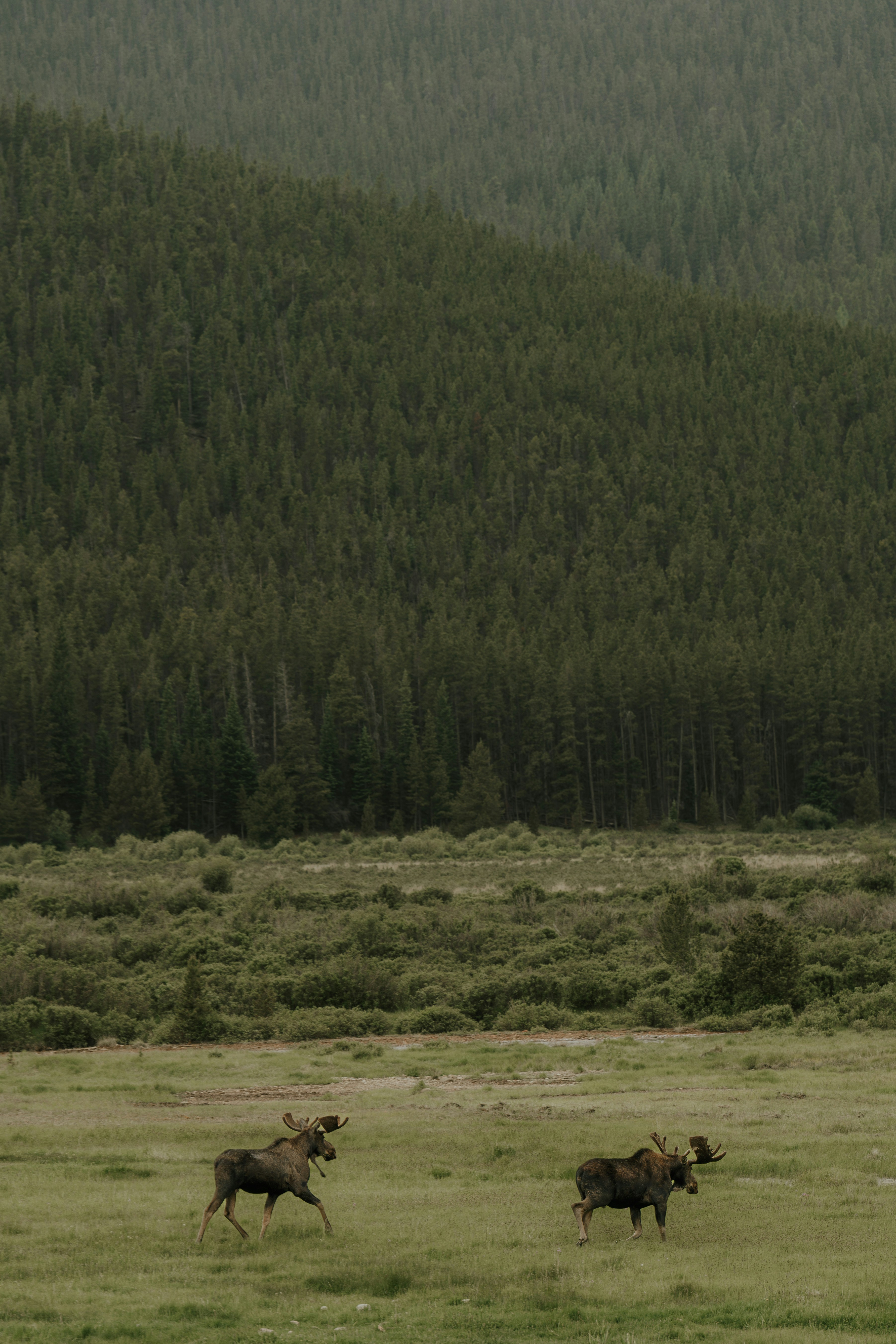 Enchanting Alpine Adventures Await: Our Vail and Beaver Creek Guide