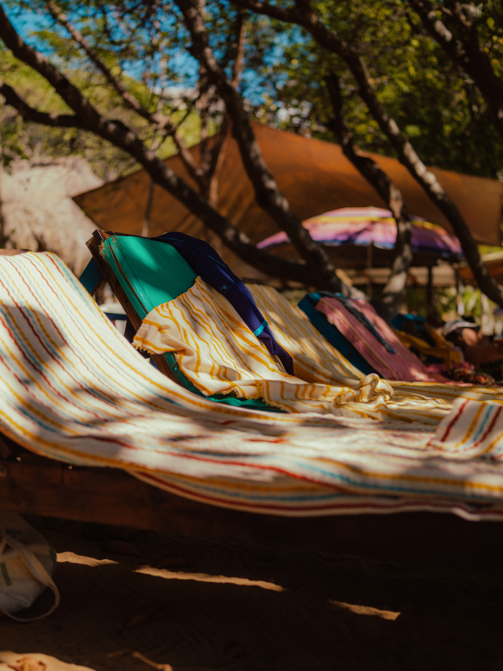 Discover the boundless beauty of the Caribbean: our guide to Barbados