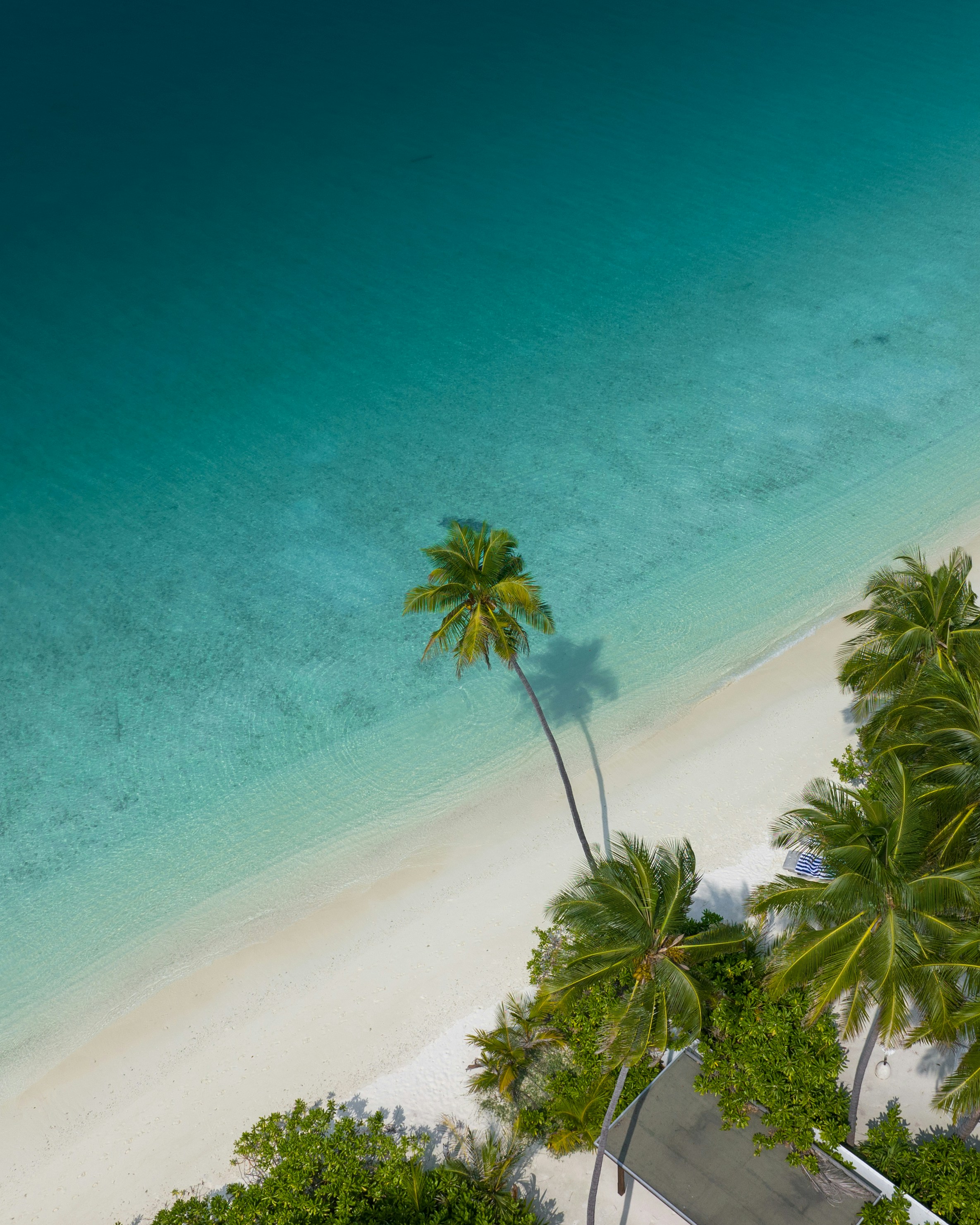 Barbados with Olesia Stefanko