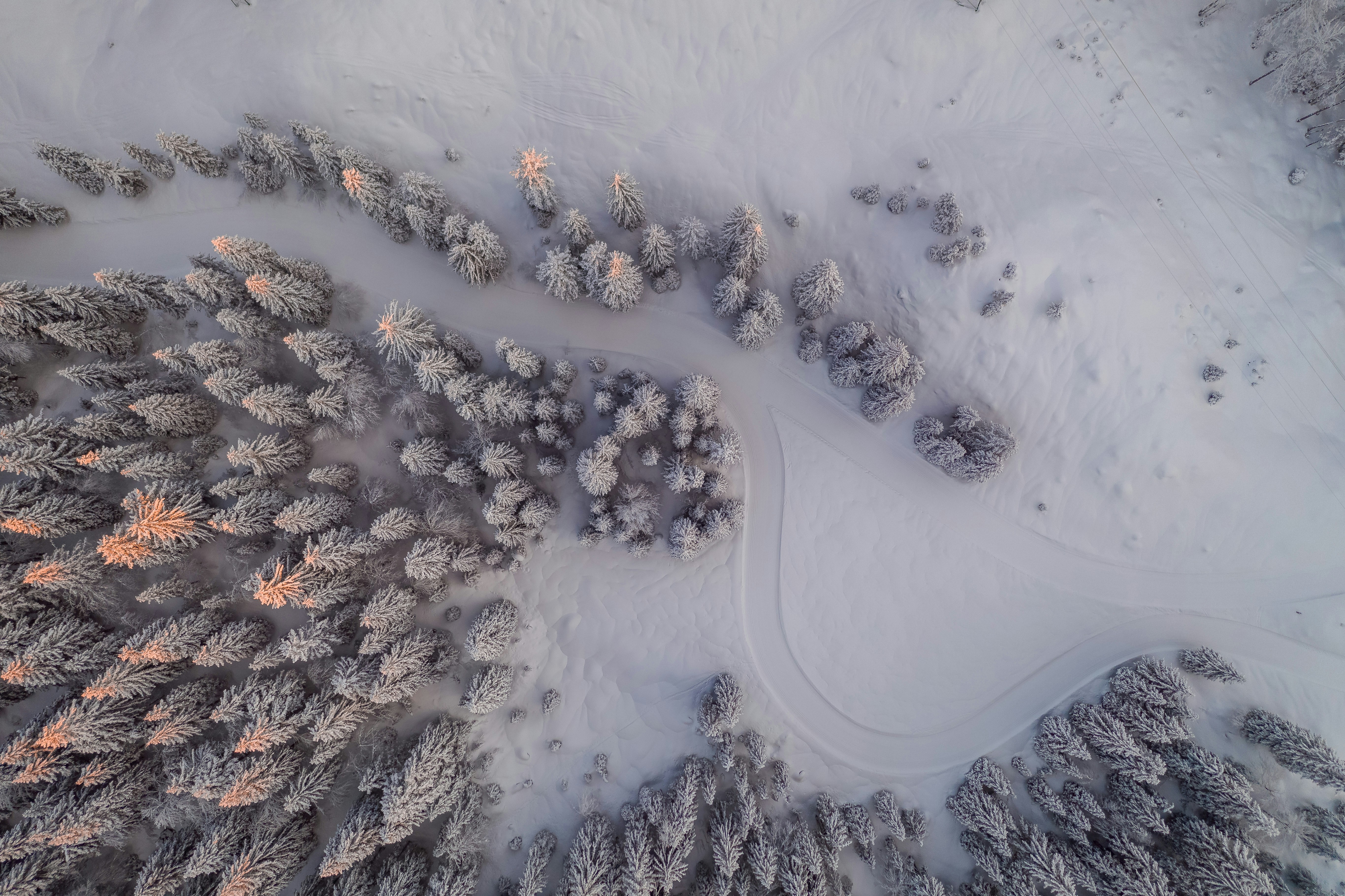 The home of perfect powder and endless activities abound: our Steamboat Springs travel guide