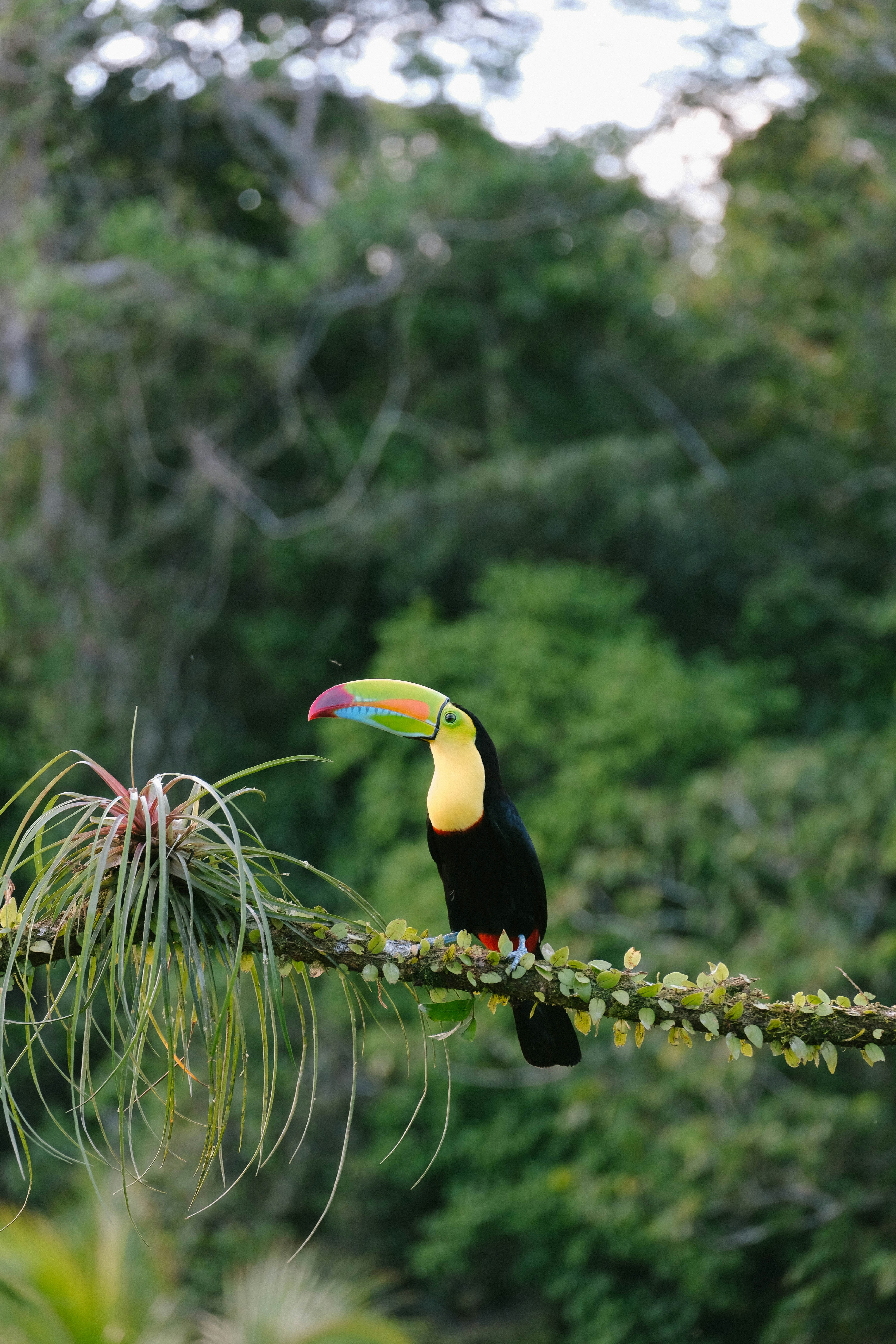 Wild jungles, blissful beaches, and a lively Caribbean spirit: Our Dominican Republic travel guide