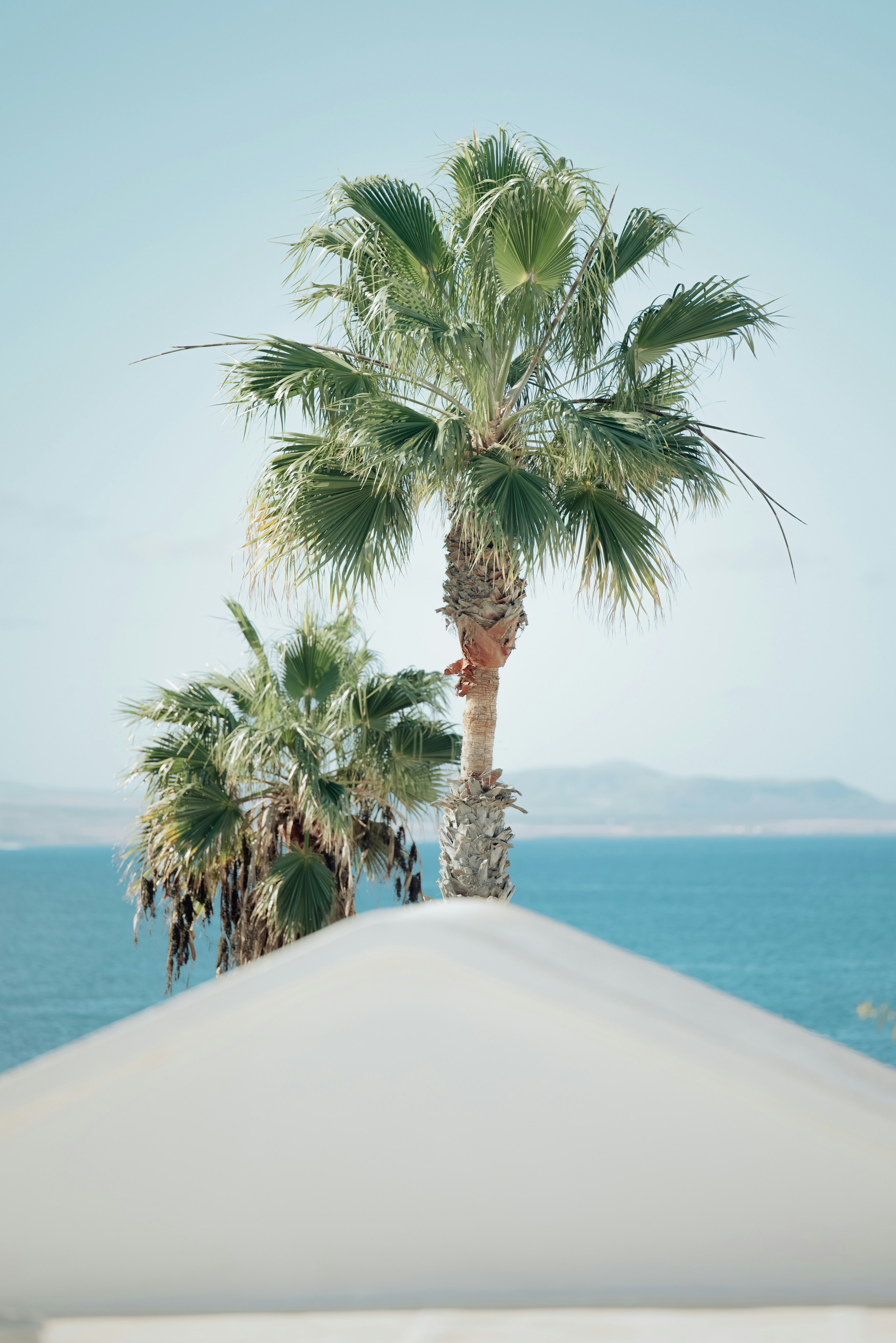 Glitz, glamour and beaches aplenty: our travel guide to Cannes
